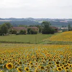 Gascon Le Bataille Ferienhaus