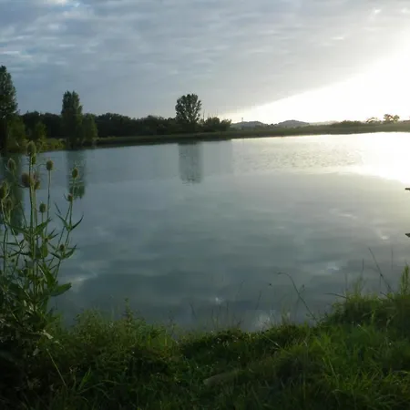 Gascon Le Bataille *