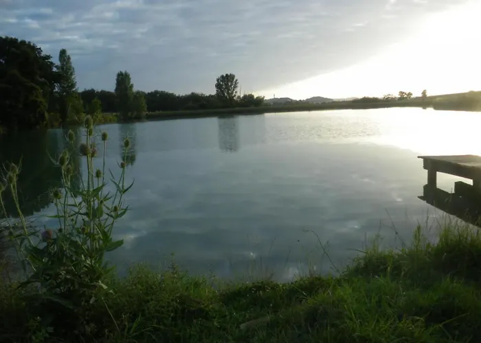 Gascon Le Bataille *