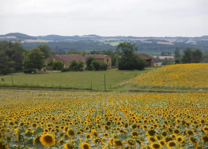 Gascon Le Bataille Nyaraló
